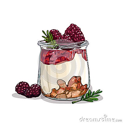 Raspberry yogurt healthy food vector isolated Vector Illustration