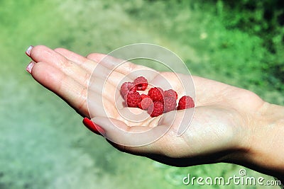 Raspberrys Stock Photo