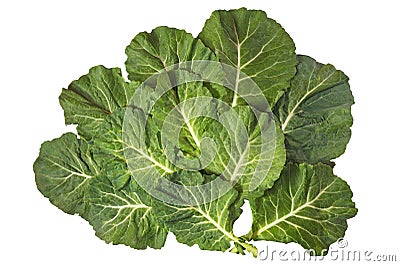 Rastan - popular leafy vegetables in Balkan cuisine. Isolated on white background, flat lay Stock Photo