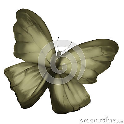Raster butterfly pattern. Isolated Stock Photo