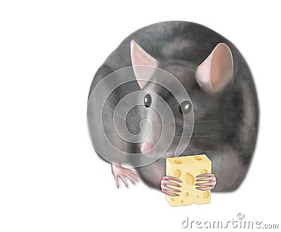 Rat Stock Photo