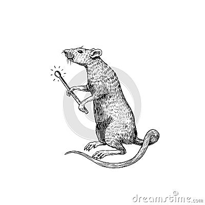 Rat or mouse with a match. Graphic wild animal. Hand drawn vintage sketch. Engraved grunge elements. Vector Illustration