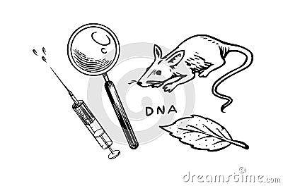 Rat and syringe and magnifying glass. Chemical laboratory experiments. Mouse in medical biological research. Outline Vector Illustration