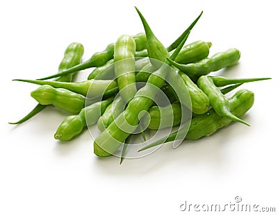 Rat tail radish, edible seed pod of radish Stock Photo