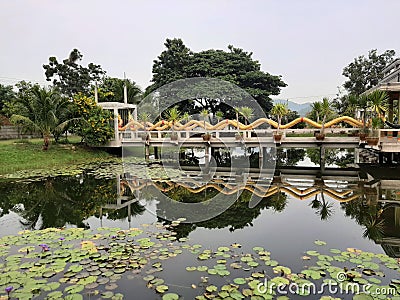 Yellow Naga statue on bridge over lotus pond and reflect in water Editorial Stock Photo