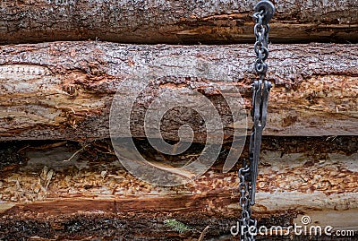 Ratchet and Chain Wrapped Around Logs Stock Photo