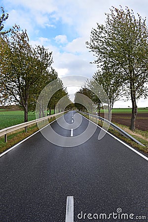 rather staight rural avenue in autumn Stock Photo
