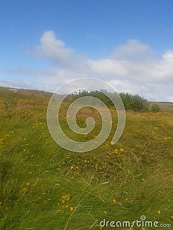 Rathlin Island view. Stock Photo