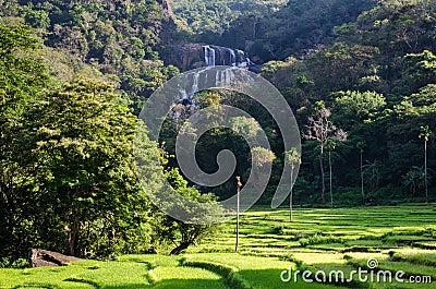 Rathna Ella, at 111 feet, is the 10th highest waterfall in Sri Lanka, situated in Kandy District. Stock Photo