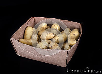 Ratte potato in studio Stock Photo