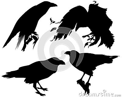 Raven bird vector Vector Illustration