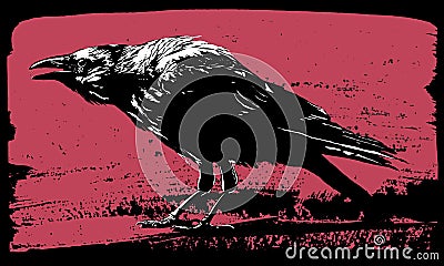 Raven illustration Vector Illustration