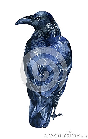 Raven illustration on white background. Cartoon Illustration