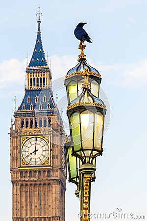 Raven on lampost at Houses of Parliament in early winter morning Stock Photo