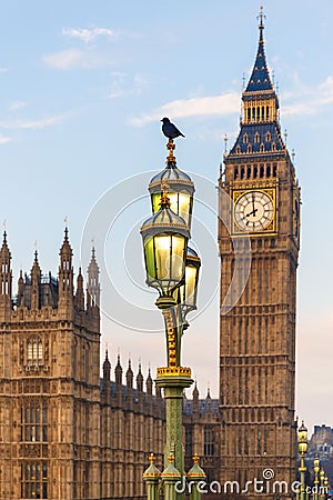 Raven on lampost at Houses of Parliament in early winter morning Stock Photo