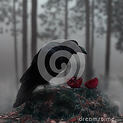 Raven In A Misty Forest With A Bloody Red Pomegranate Stock Photo