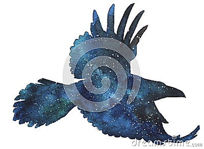 Raven silhouette with night sky Stock Photo