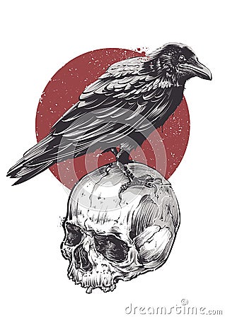 Raven on Skull Vector Illustration