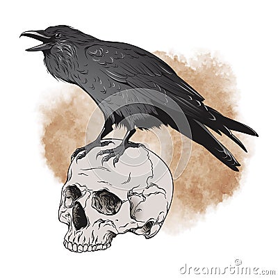 Raven and skull on sepia background vector illustration Vector Illustration