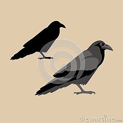 Raven vector illustration style Flat profile silhouette Vector Illustration