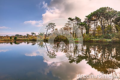Ravenna, Emilia Romagna, Italy: landscape of the lagoon in the Po delta park Stock Photo
