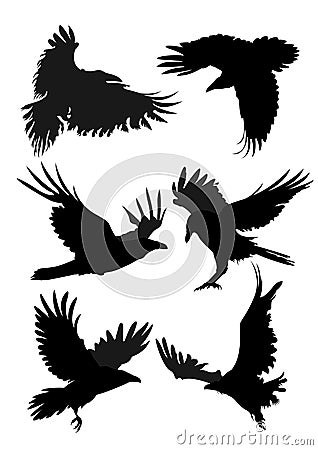 Black Ravens Silhouette Set 1 Vector Illustration