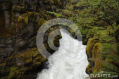 Ravine Stock Photo