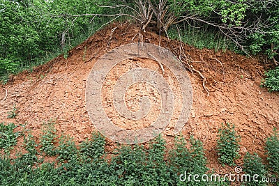 ravine and landslide exposed sandy soil with the roots of trees and plants. Concept of Geology and land erosion Stock Photo