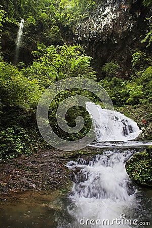 Ravine stream in the Black Mountain Valley Stock Photo