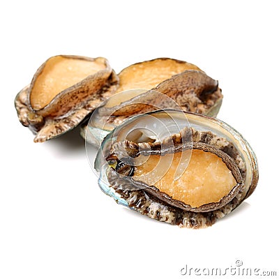 Raw abalone Stock Photo