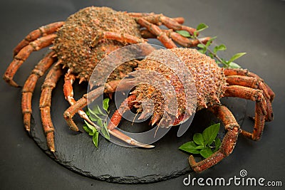 raw Atlantic crab close-up on black background, soft focus. Stock Photo