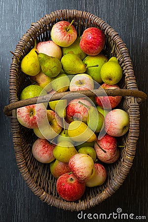 raw autumn fresh fruits as apples pears in the basket Stock Photo