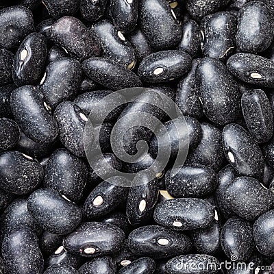 Raw black turtle beans close up Stock Photo