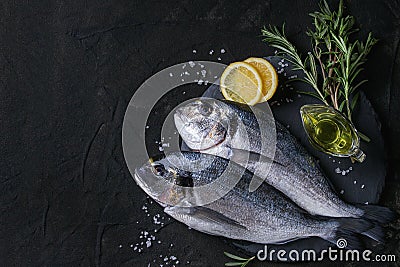 Raw bream fish with herbs Stock Photo