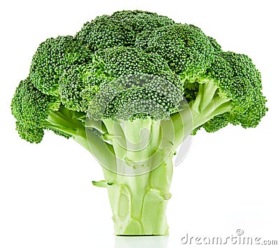 Raw broccoli isolated Stock Photo