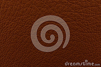 Raw brown leather Stock Photo