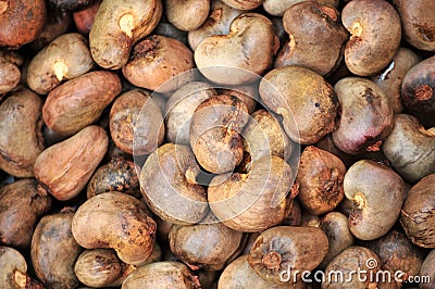 Raw Cashew Nuts Stock Photo