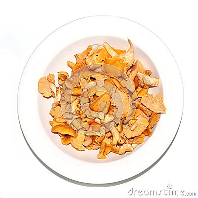 Raw chanterelles on a white plate Stock Photo