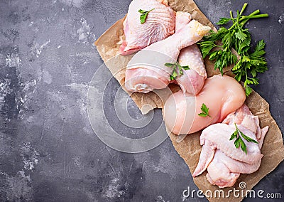 Raw chicken meat fillet, thigh, wings and legs Stock Photo