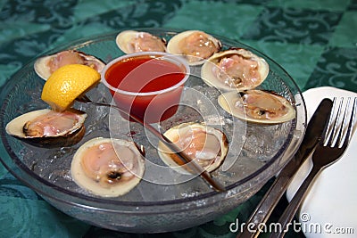 Raw clams dish Stock Photo