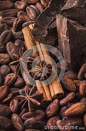 Raw cocoa beans, black chocolate, cinnamon sticks, star anise Stock Photo