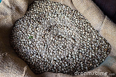 Raw coffee beans in sack. Vietnamese traditional coffee Stock Photo