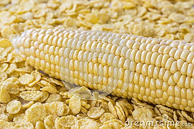 Raw corn cob and cornflakes closeup Stock Photo