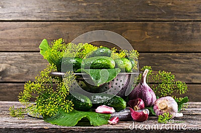 Raw cucumber with spices Stock Photo