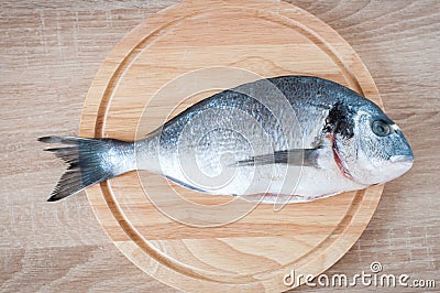 Raw dolphinfish table top view Stock Photo