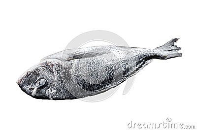 Raw Dorado fish Isolated on white background. Top view. Stock Photo