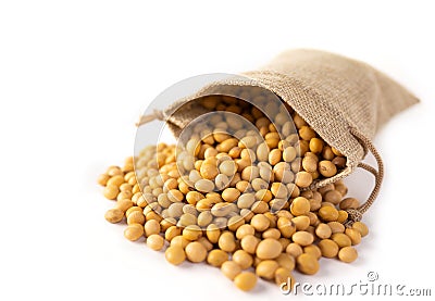 Raw dried soybeans in a sack on white background Stock Photo