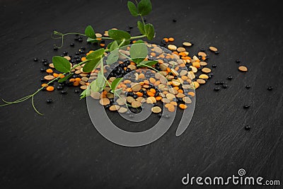 Raw Dry Lentils, Lentil Grains, Dal, Daal, Dhal, Masoor Stock Photo