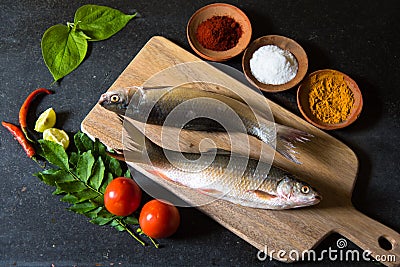 Raw fish arrangement on a black background Stock Photo