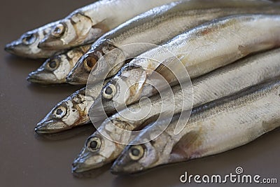 Raw fish capelin on the table Stock Photo